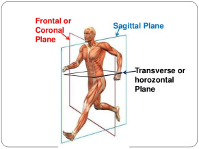 strength training