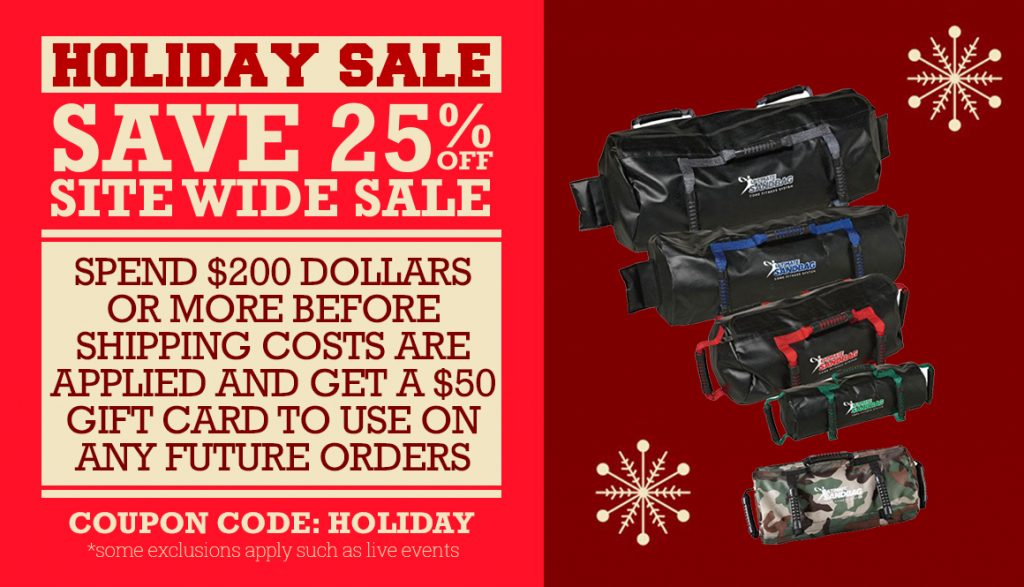 sandbag exercise equipment