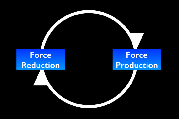 Force_Reduction_Force_Production.png