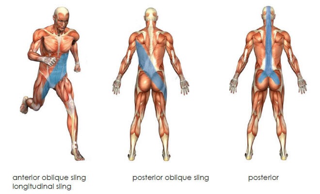 glute exercises