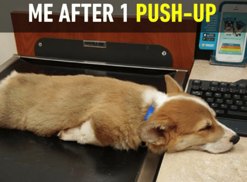 push-ups