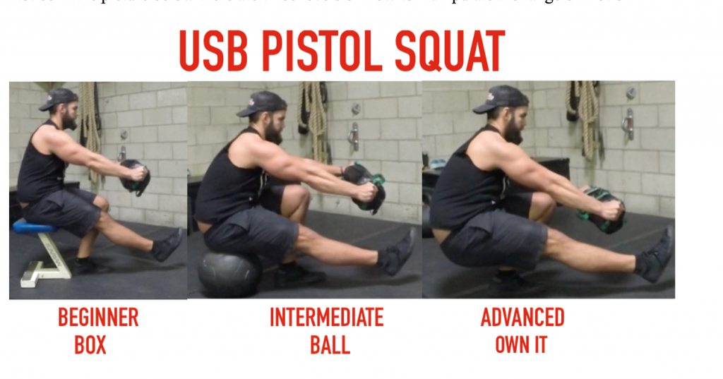 sandbag squat