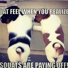glute exercises