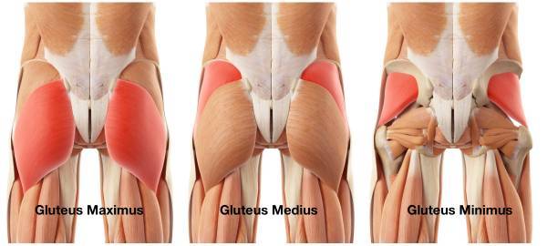 glute exercises