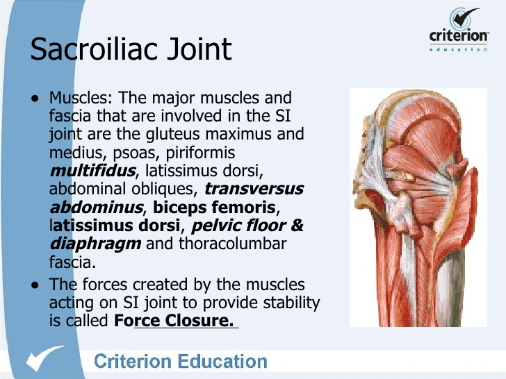 glute exercises