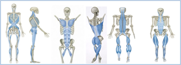 mobility training