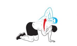 shoulder mobility