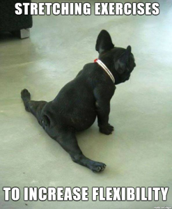 mobility training