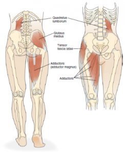 side plank