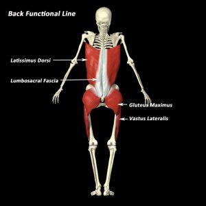 glute training