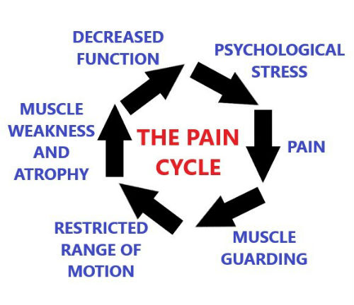 mobility training