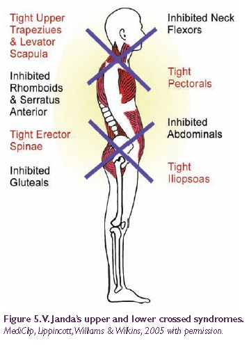 shoulder exercises