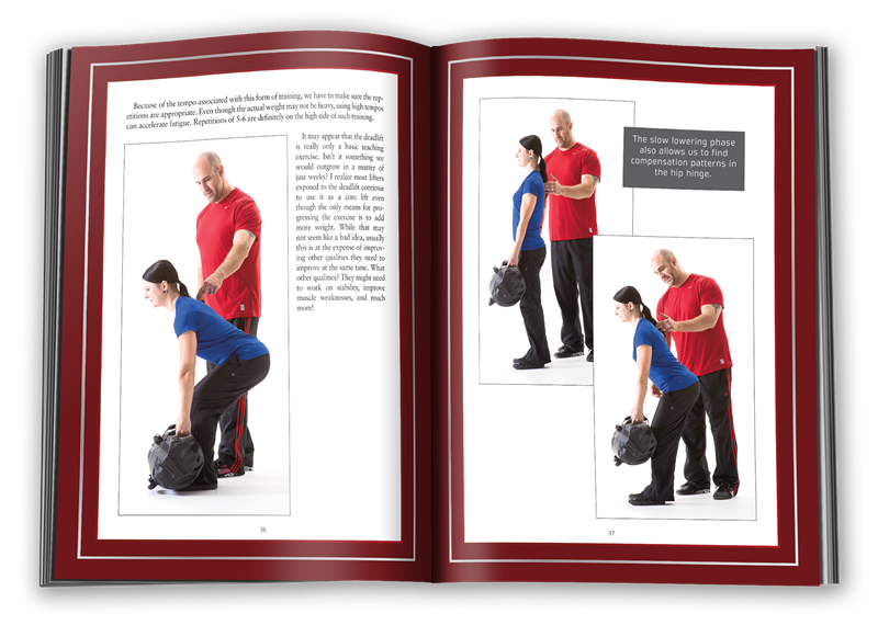 sandbag book