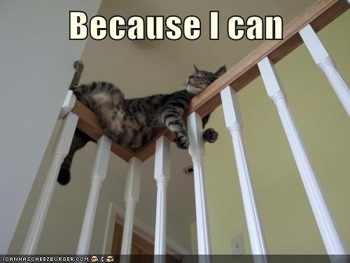 balance training