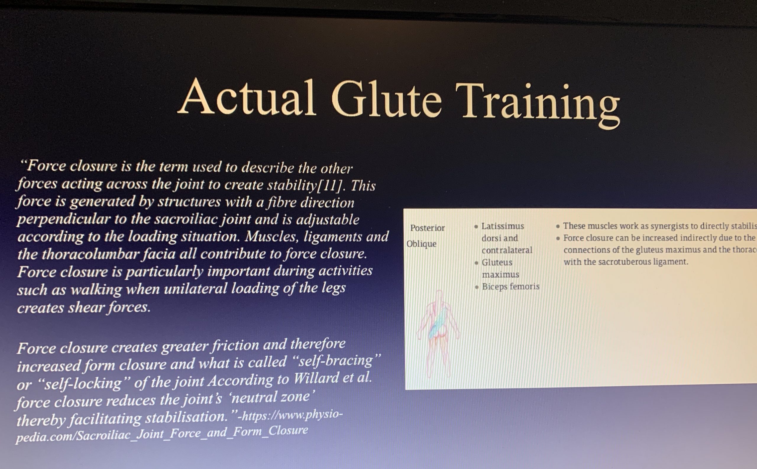 glutes
