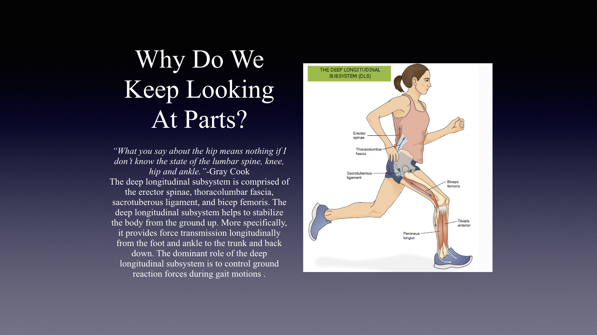 hamstring exercises