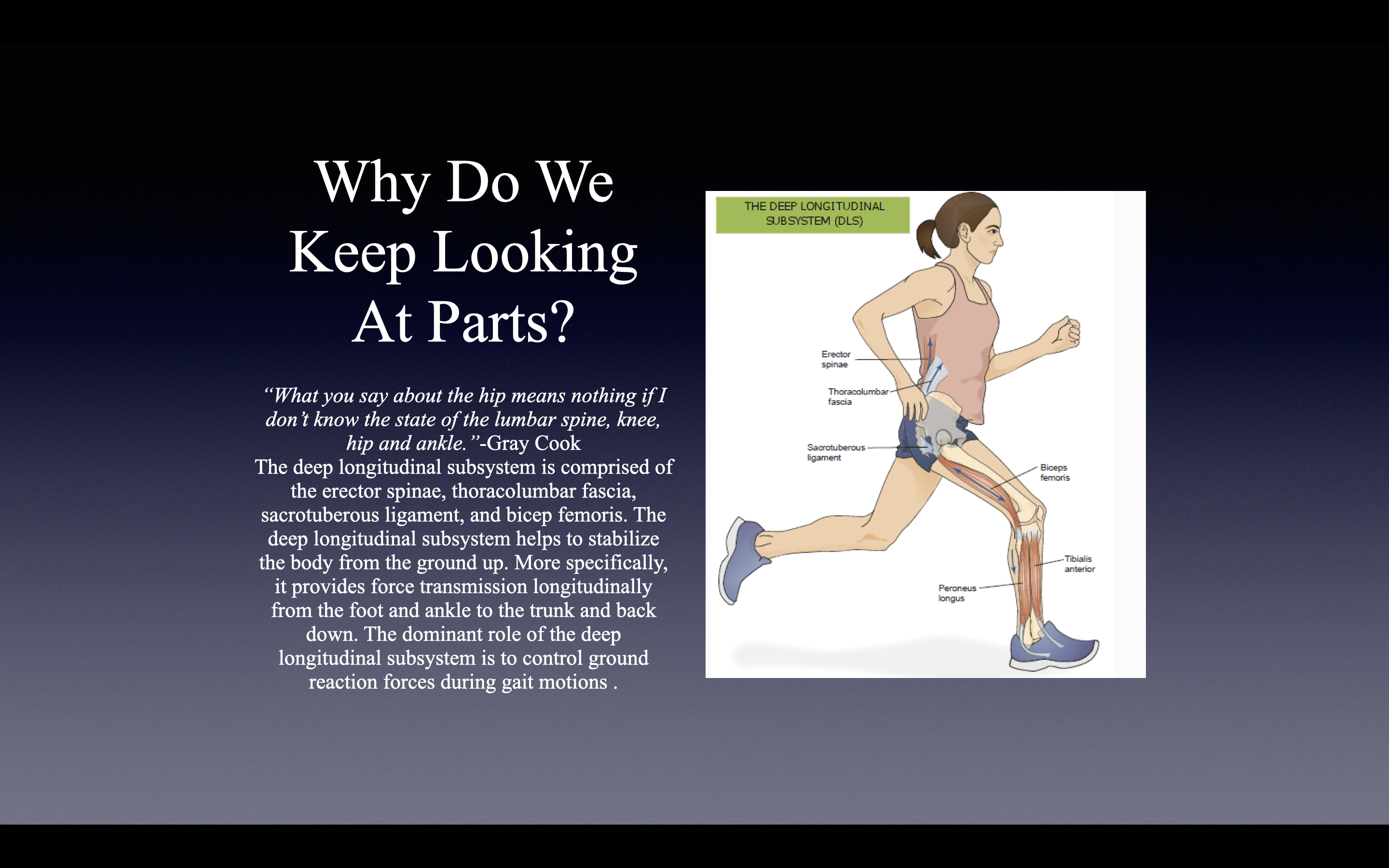 knee health