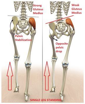 pelvic stability
