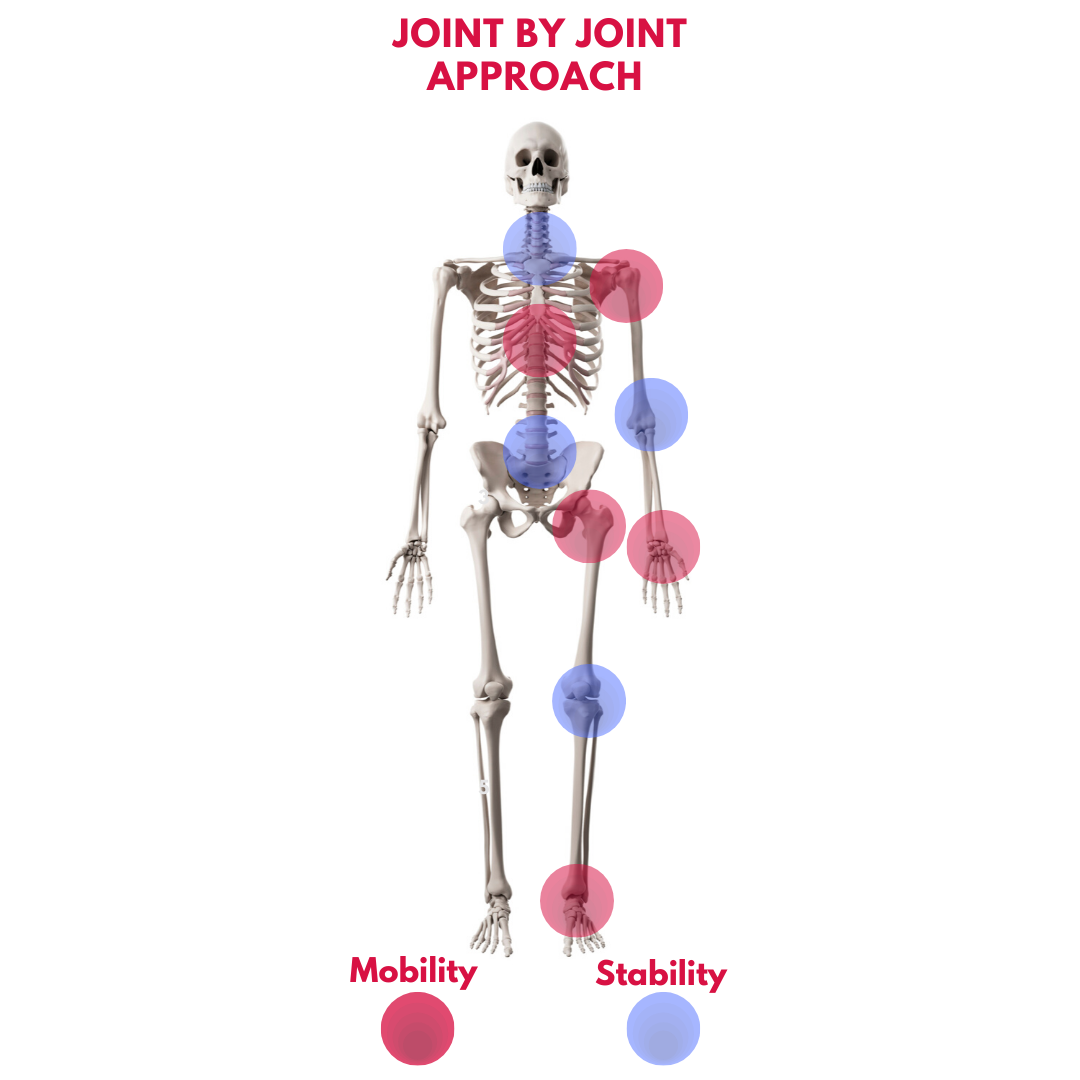 healthy knees
