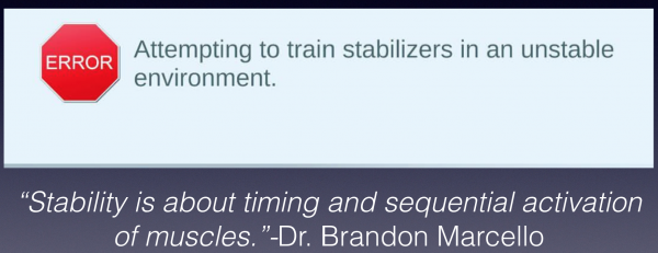 stability training