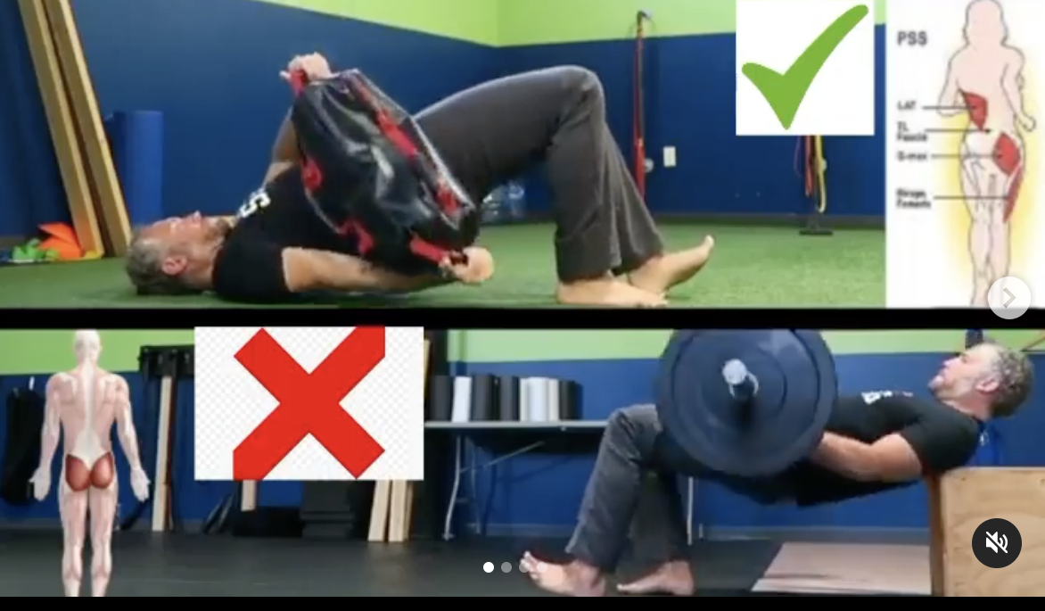 glutes