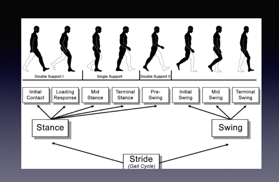 core exercise