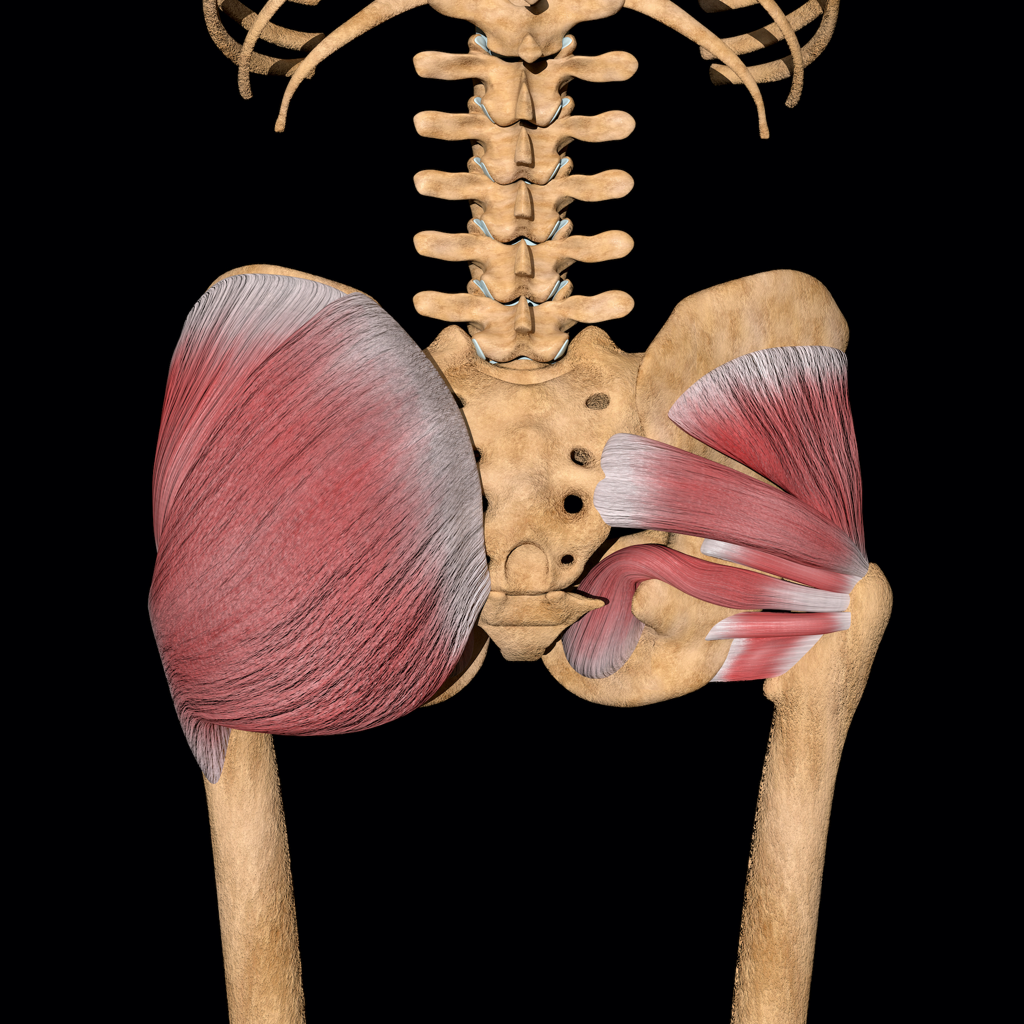 glute exercises