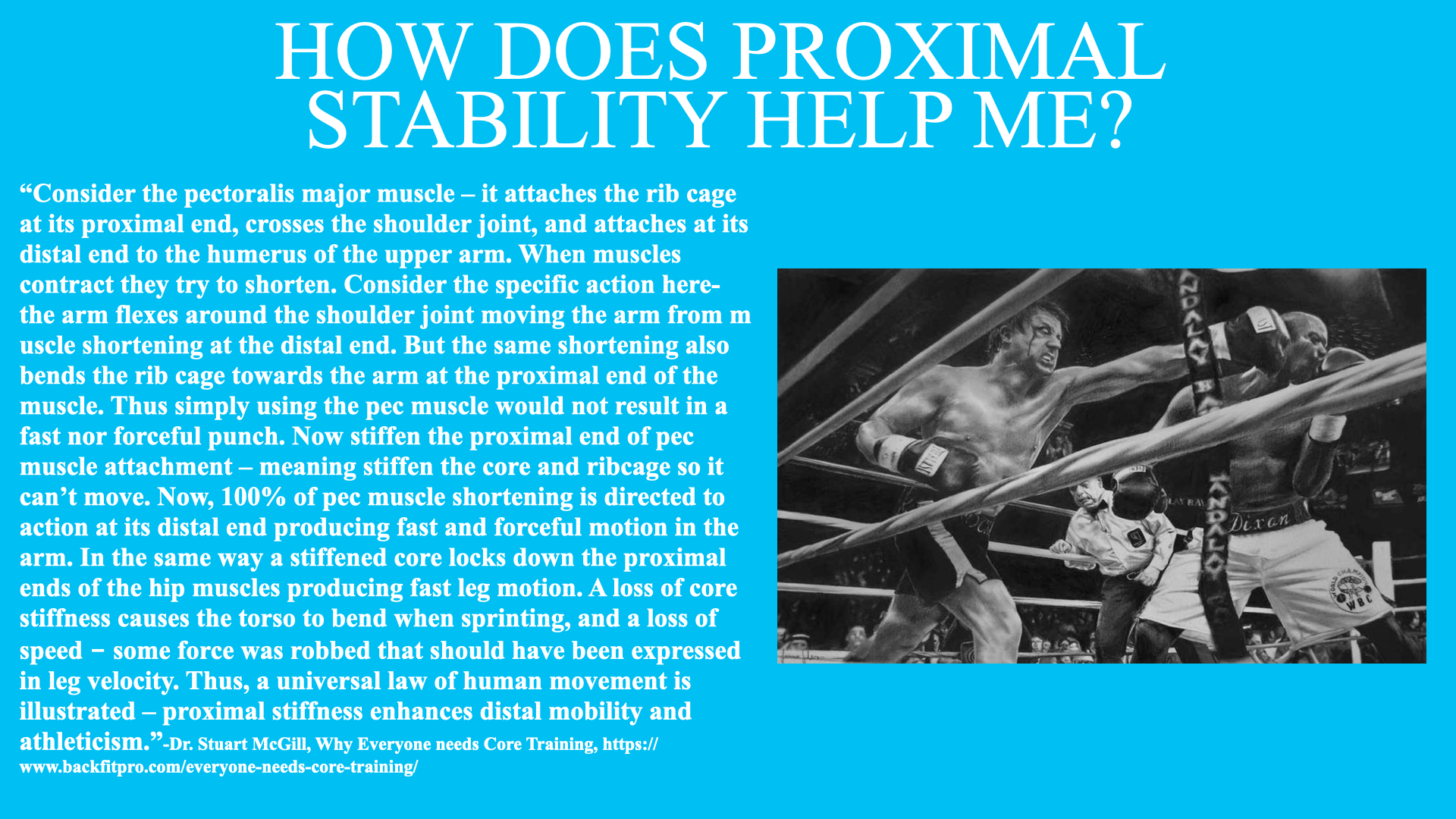 stability training