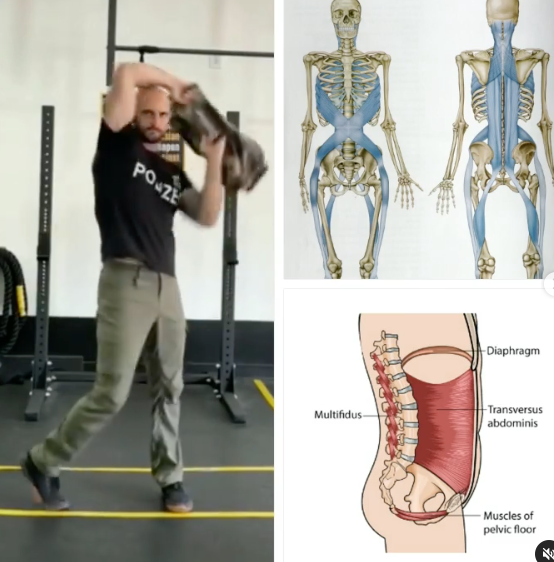 core stability 