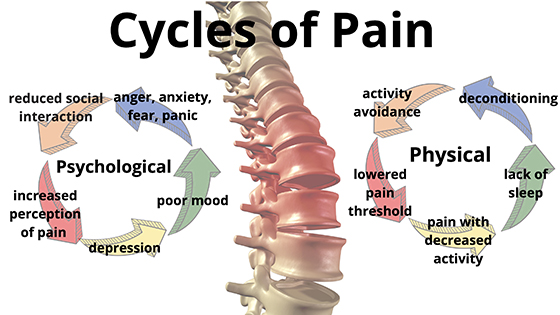 low back pain
