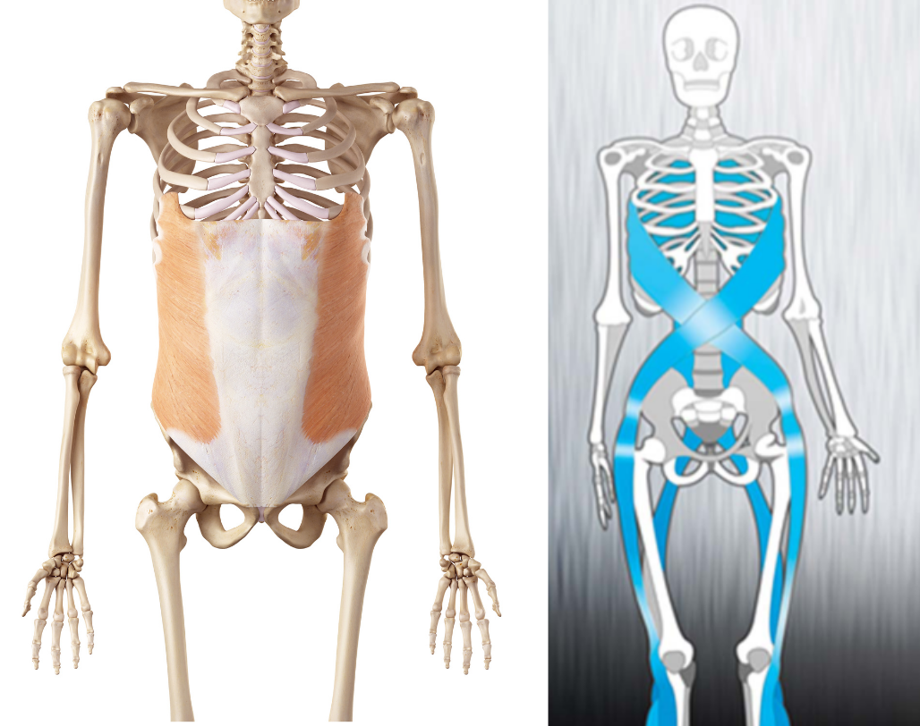 core stability