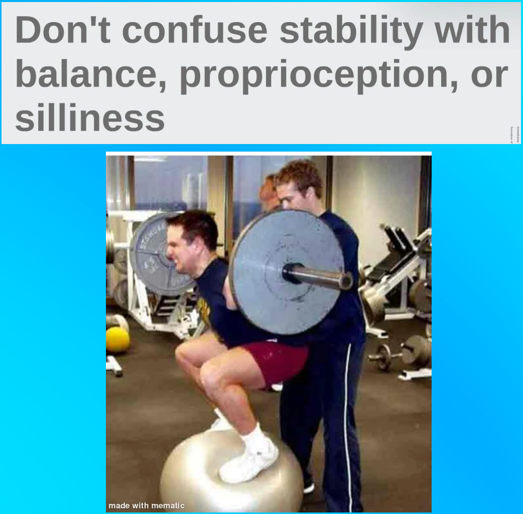 stability training