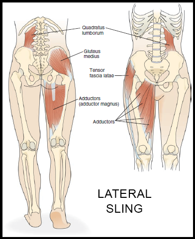 low back pain
