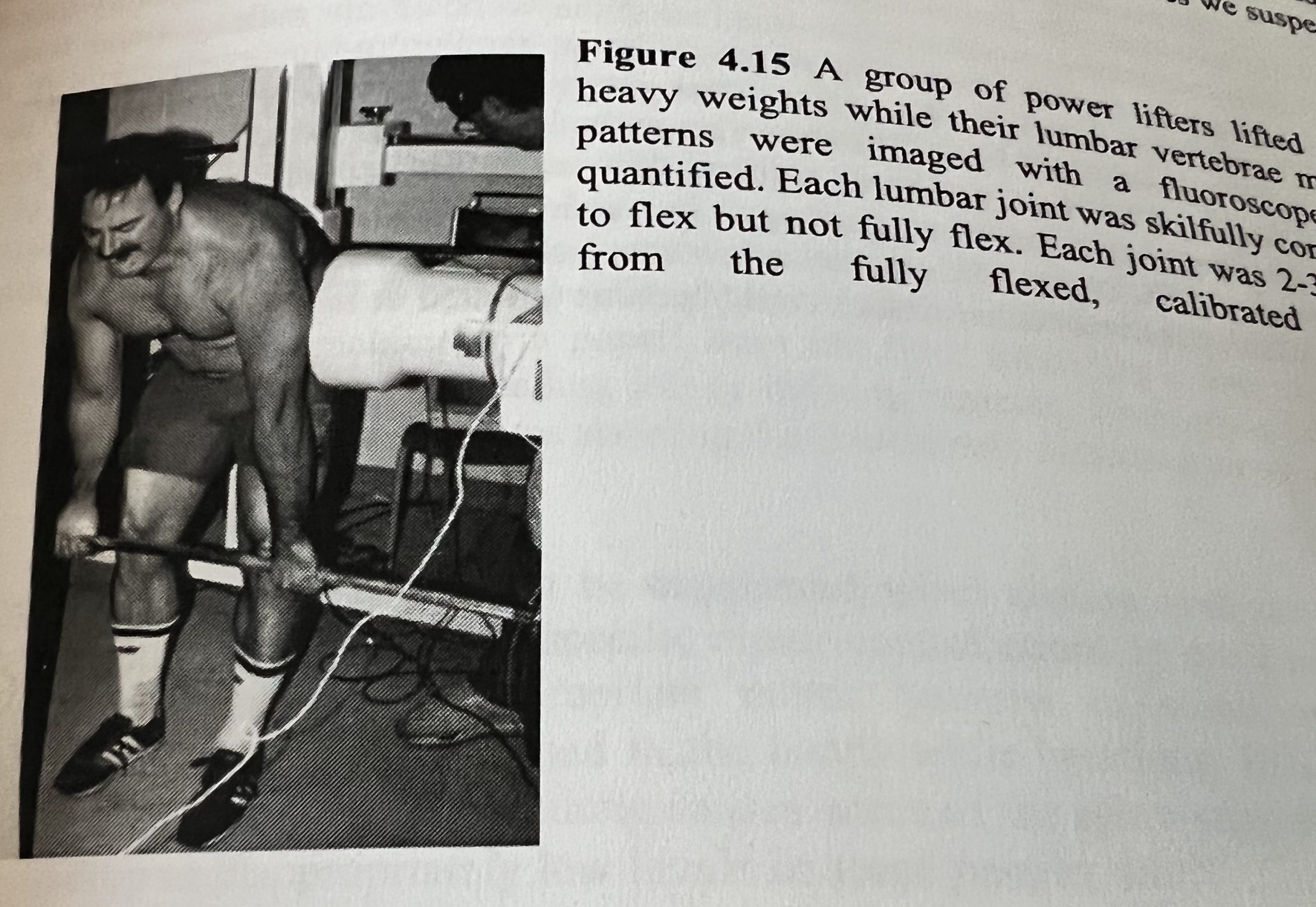 rounded back deadlifts