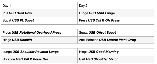 sandbag workouts