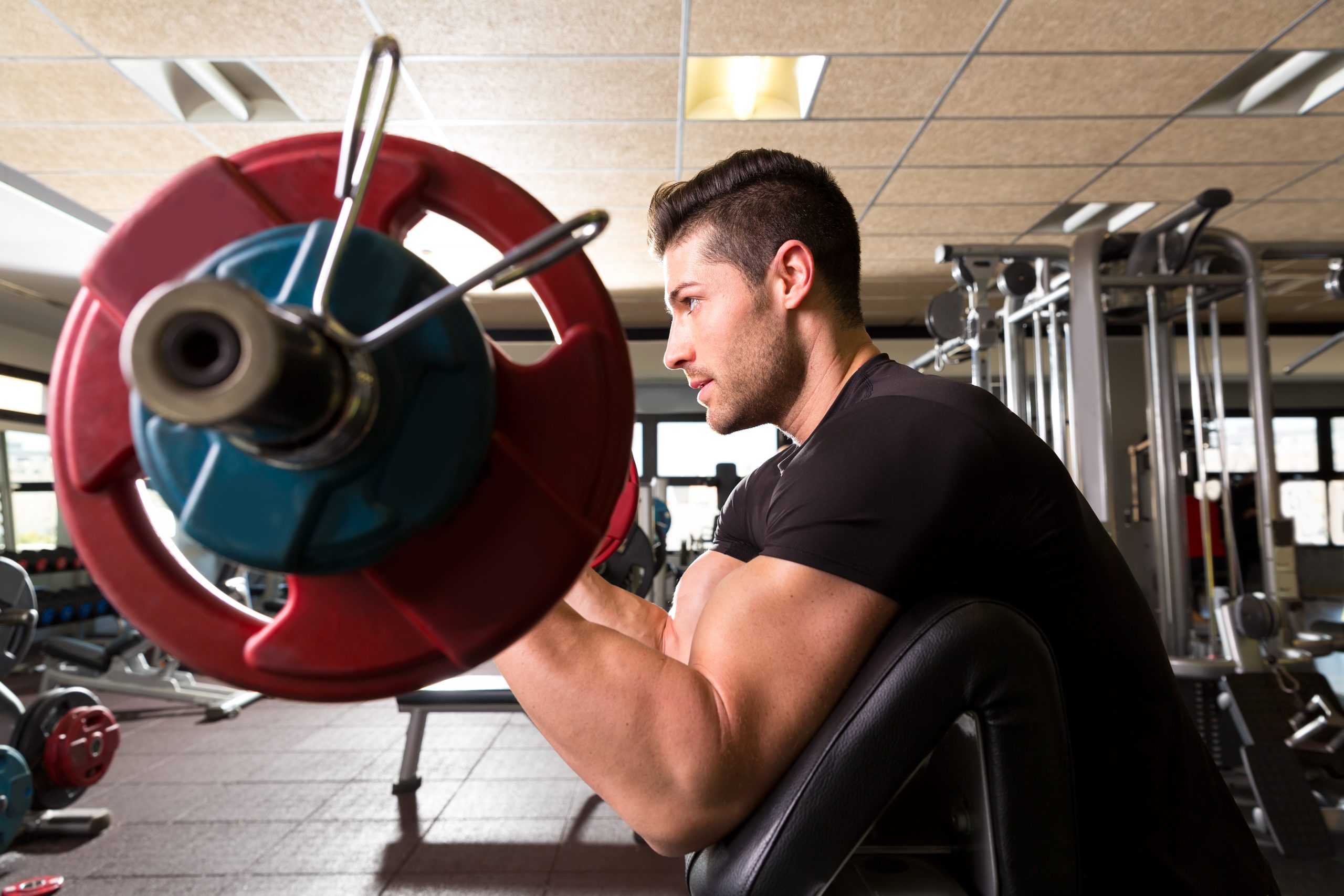 bicep curls