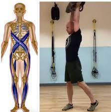 shoulder pain