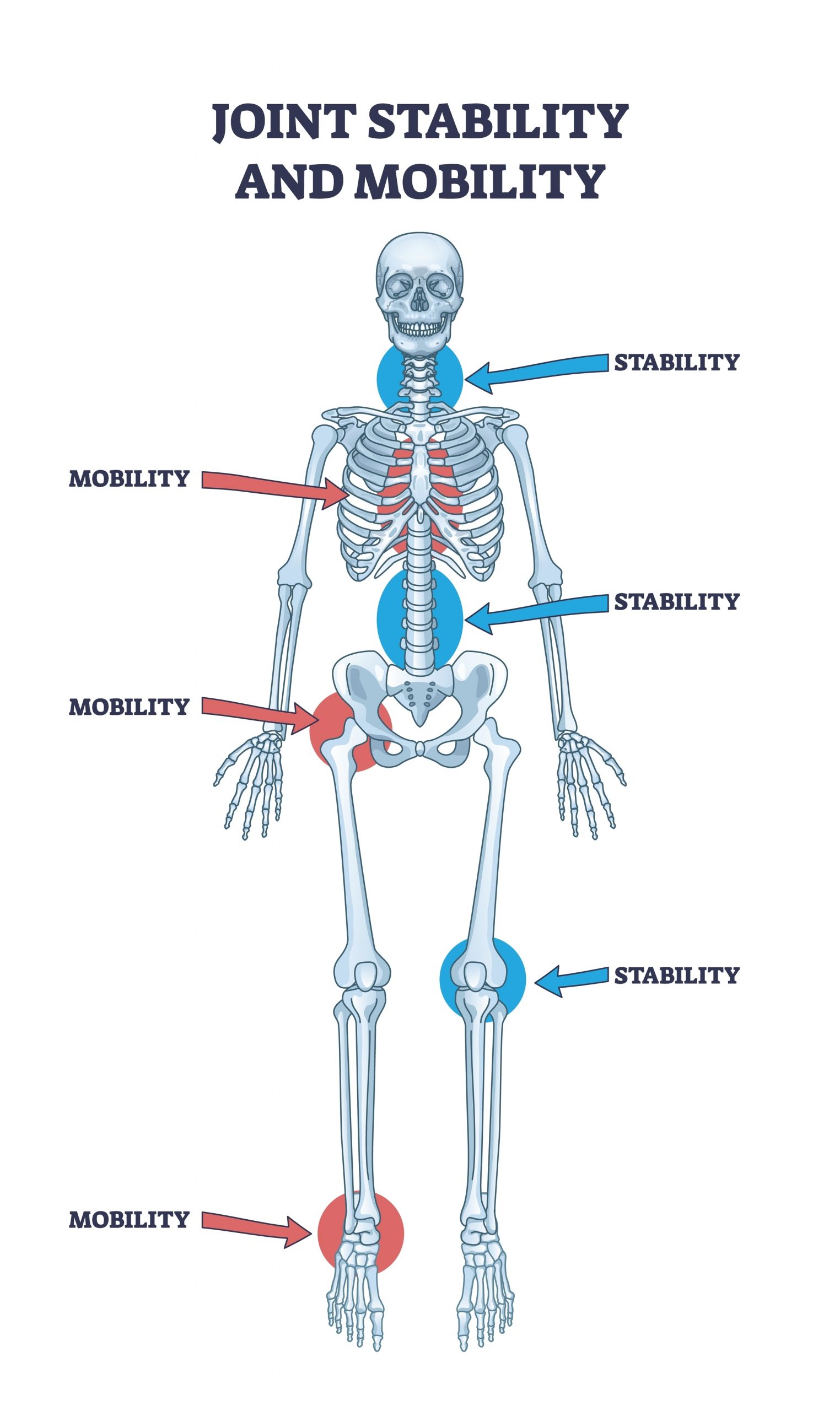 hip mobility