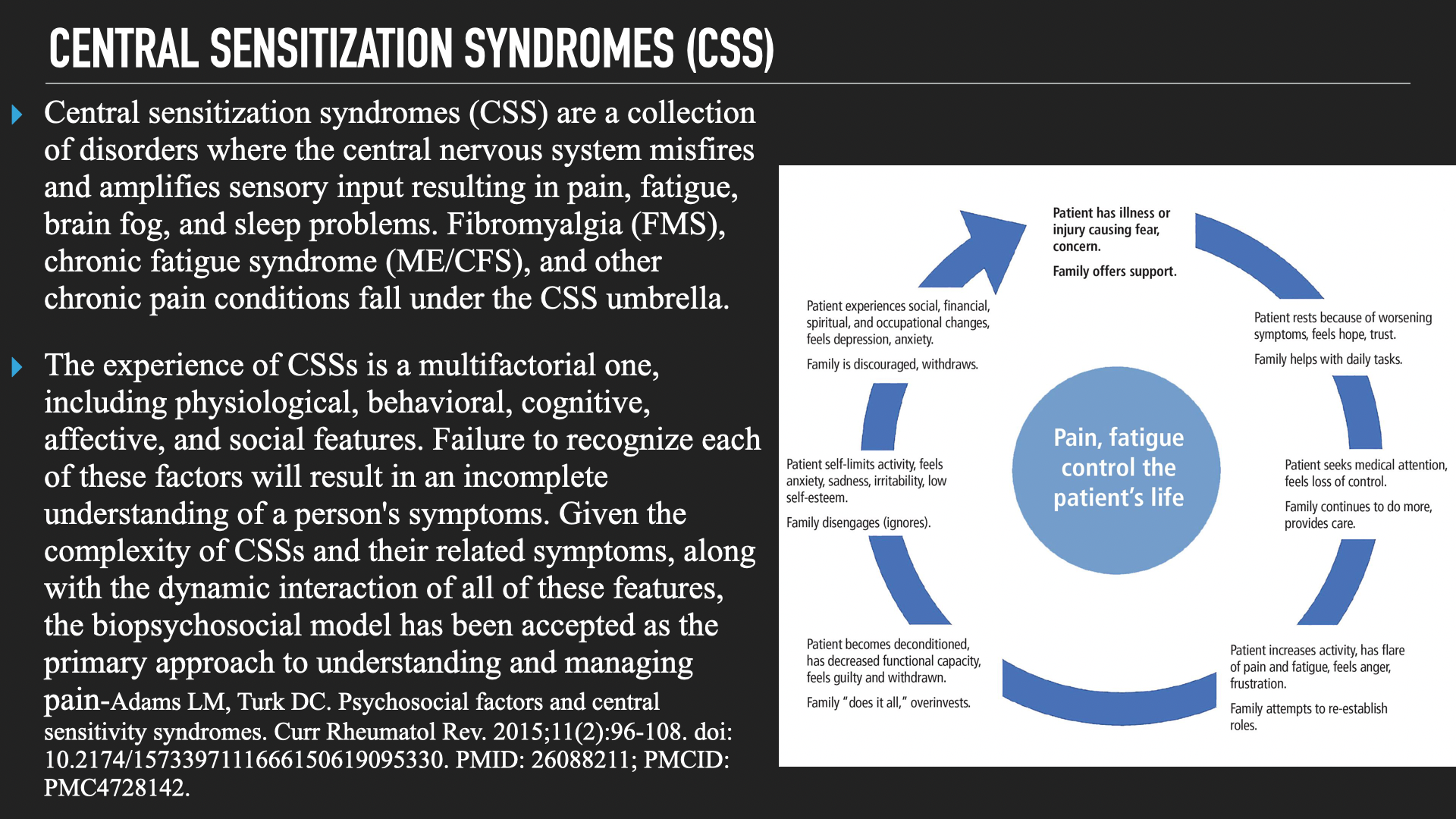 nervous system