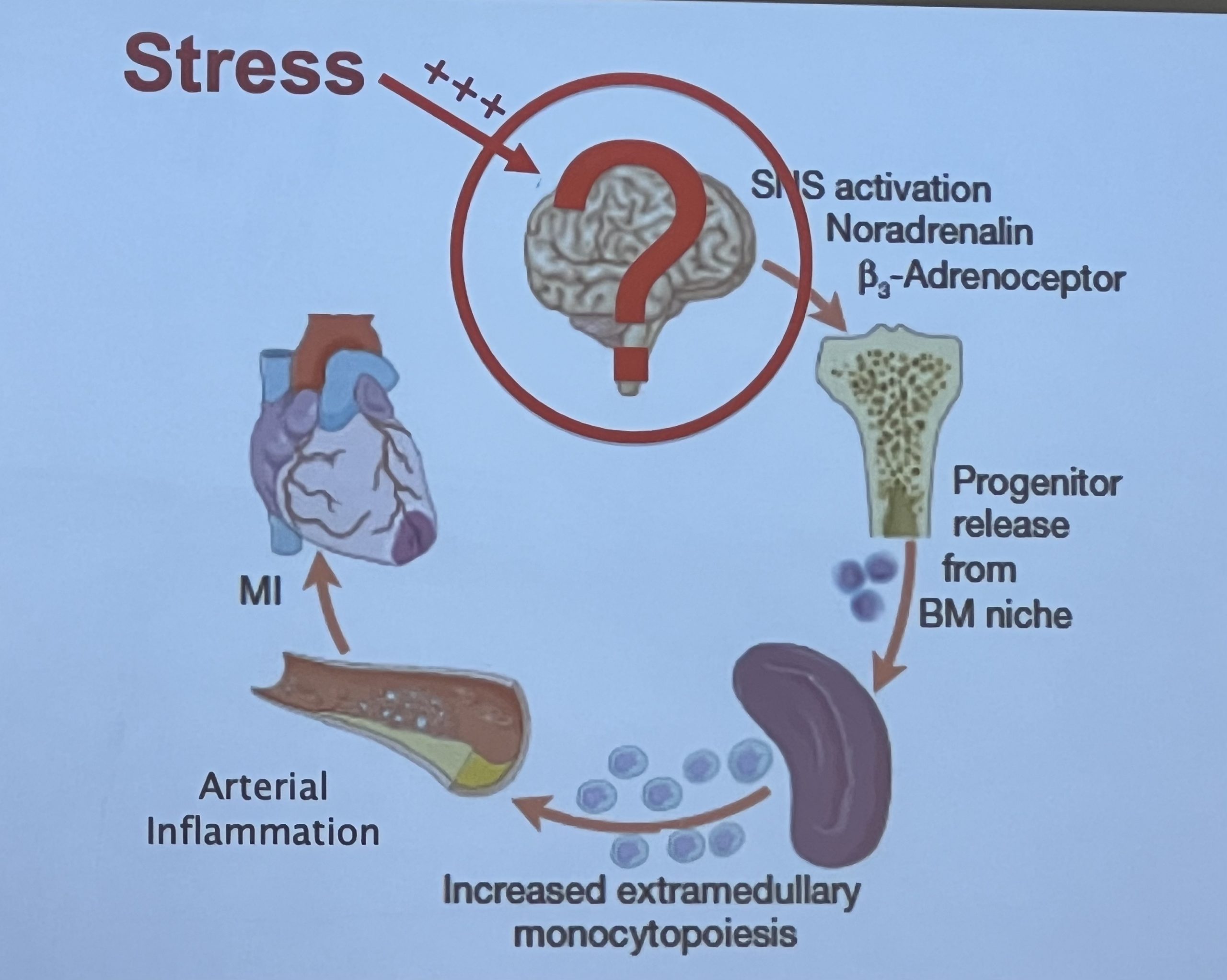 chronic inflammation